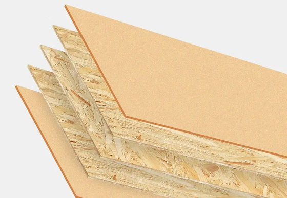 Fine Surface Oriented Strand Board LSB FSC E0 E1 2440x1220